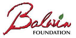 Balwin Foundation .png