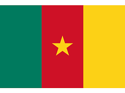Flag_of_Cameroon.svg - Cameroon image