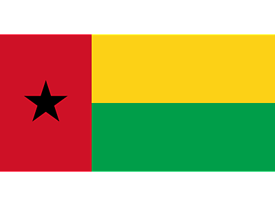 2000px-Flag_of_Guinea-Bissau.svg.png - Guinea Bissau image