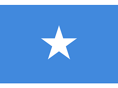 Flag_of_Somalia.svg - Somalia image