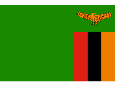 Flag_of_Zambia.svg - Zambia image
