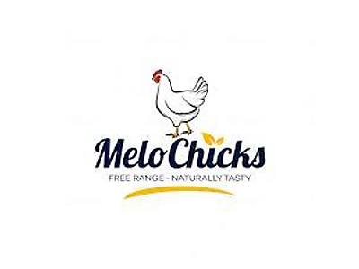 MeloChicks Logo.jpeg - MeloChicks image