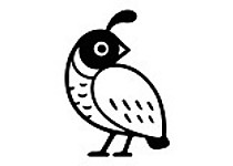quails-logo-1627931349.jpeg - Quails Farming image