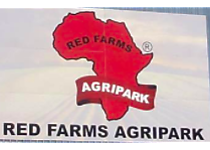 Screenshot 2021-10-20 at 15.52.58.png - Red Farms Agripark image